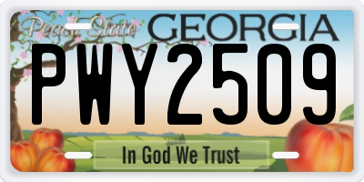 GA license plate PWY2509