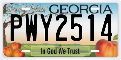 GA license plate PWY2514