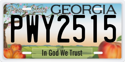 GA license plate PWY2515