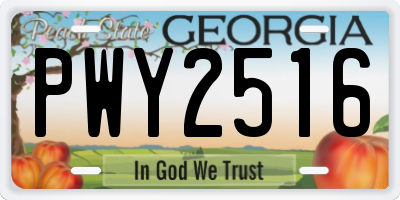 GA license plate PWY2516