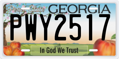 GA license plate PWY2517