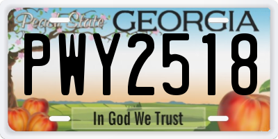 GA license plate PWY2518