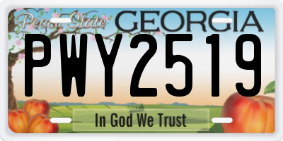 GA license plate PWY2519