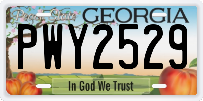 GA license plate PWY2529