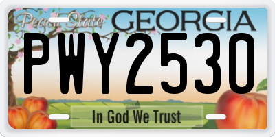 GA license plate PWY2530