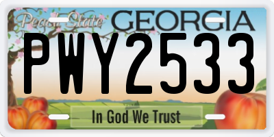 GA license plate PWY2533