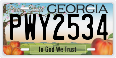 GA license plate PWY2534