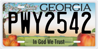 GA license plate PWY2542