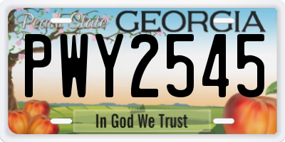 GA license plate PWY2545