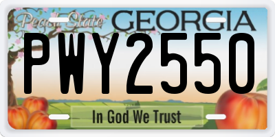 GA license plate PWY2550