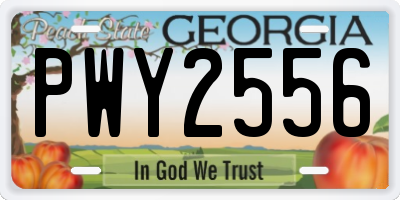 GA license plate PWY2556