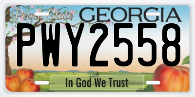 GA license plate PWY2558