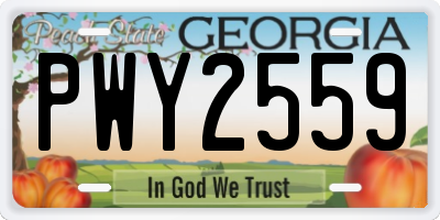 GA license plate PWY2559