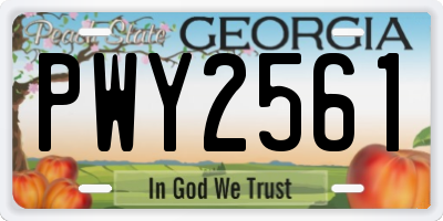 GA license plate PWY2561