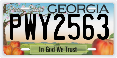 GA license plate PWY2563