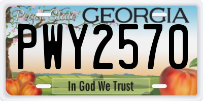 GA license plate PWY2570