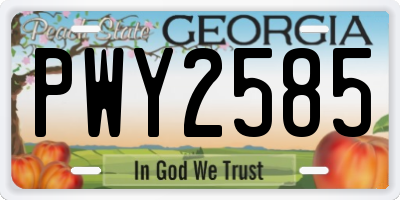 GA license plate PWY2585