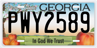 GA license plate PWY2589