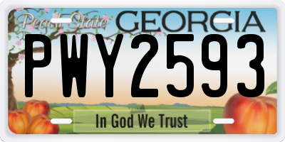 GA license plate PWY2593