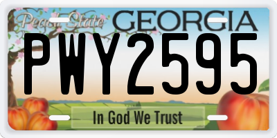 GA license plate PWY2595