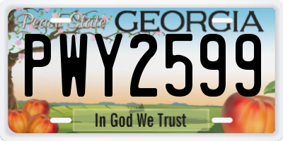 GA license plate PWY2599