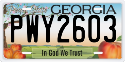GA license plate PWY2603
