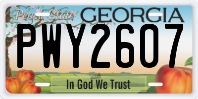 GA license plate PWY2607