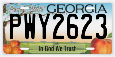 GA license plate PWY2623