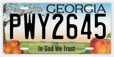 GA license plate PWY2645