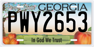 GA license plate PWY2653