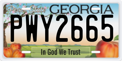 GA license plate PWY2665