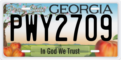 GA license plate PWY2709