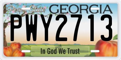GA license plate PWY2713