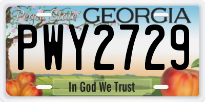 GA license plate PWY2729