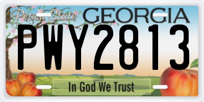 GA license plate PWY2813