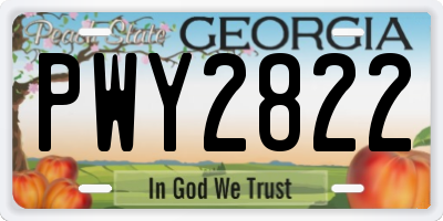 GA license plate PWY2822