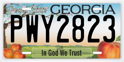 GA license plate PWY2823