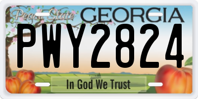GA license plate PWY2824