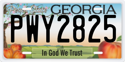 GA license plate PWY2825