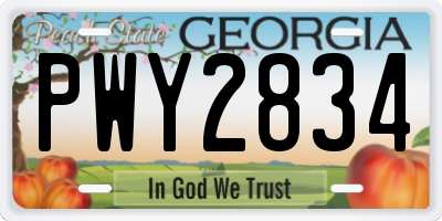 GA license plate PWY2834