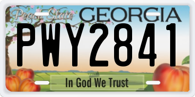 GA license plate PWY2841