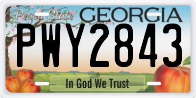 GA license plate PWY2843