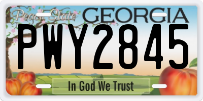 GA license plate PWY2845