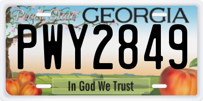GA license plate PWY2849