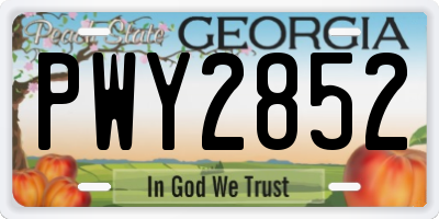 GA license plate PWY2852
