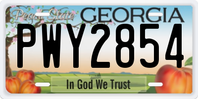 GA license plate PWY2854