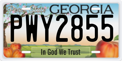 GA license plate PWY2855