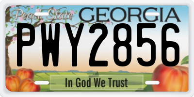 GA license plate PWY2856