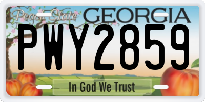 GA license plate PWY2859
