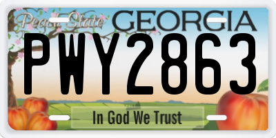 GA license plate PWY2863
